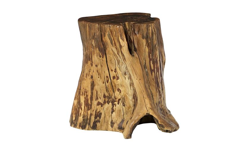 TREE TRUNK ACCENT TABLE - 2